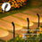 Solar Powered Lawn Light 120 Degree Adjustable Outdoor Garden Stake Spotlight Landscape Decorative Lamp - 5