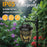 YY-502-505 Solar Powered Projection Light Garden Lawn Atmosphere Hollow Lantern Outdoor Animal Shadow Lamp - Bird - 2