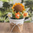 Handcrafted Crochet Flower Pot with Large Planter, Artificial Plant Decorative Ornament for Home / Office Desktop Display - Sunflower - 1
