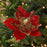 Nordic Style Christmas Artificial Flower Decoration with Glitter Sequins Xmas Tree Ornament - Red - 3