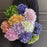 5Pcs Artificial Hydrangea Flowers 3D Realistic Silk Flowers for Home Decor Photography Props - White - 3