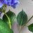 5Pcs Artificial Hydrangea Flowers 3D Realistic Silk Flowers for Home Decor Photography Props - White - 5