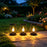 Solar LED Flame Light IP65 Waterproof Metal Hanging Lantern for Outdoor Garden Patio Landscape Decoration - 2