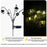 6-Head Solar Powered Garden Light Outdoor Waterproof Ground Spike Landscape Lamp - 4