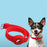 Pet Collar Design Hollow Out Anti-Lost Protective Cover Case Silicone Strap for Apple AirTag Tracker - Red - 4