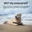 G12 Gem Design Pets Collar GPS Tracker IP67 Waterproof Rechargeable Dog Cat Tracking Device Locator - Blue - 3