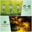 DS019 Hexagonal Hollow-Out Solar Powered Stake LED Lamp Home Yard Lawn Light with Warm Light+RGB - 5