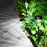 DS001 4PCS Solar Powered Home Lawn LED Lamp Waterproof Garden Decoration Light with Stake - White Light - 3