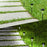 DS001 4PCS Solar Powered Home Lawn LED Lamp Waterproof Garden Decoration Light with Stake - White Light - 5