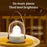 YPH-0119 Portable Pet LED Light Bluetooth-compatible Music Box 3D Night Light - Dinosaur - 4