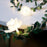 1.5m 10-LED Rose Flower String Light Romantic Festival Wedding Decorative Lamp, 2A Constant Light - White - 6
