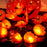 3m 20 LED Dahlia Fairy Lights Battery Operated String Lights Halloween Gift Cemetery Decor - 4