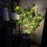 Realistic Branch Leaf Light Creative Illuminated Tree Ambient Light Home Decor - Apple Leaf Tree - 7