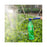 Dual Head Push Pull Sprayer for Beverage Bottles  /  Soda Bottles Watering Can Spray Rod For Gardening - 4