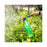 Dual Head Push Pull Sprayer for Beverage Bottles  /  Soda Bottles Watering Can Spray Rod For Gardening - 5
