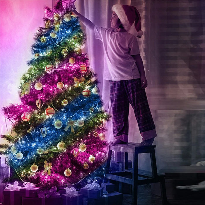 LXDC042 Smart LED String Lights 5M 50 LEDs Christmas Party Decoration Lights App Controlled - 7