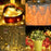 10Pcs Button Battery Operated Copper Wire String Lights 2m 20-LED Fairy Lamp for DIY Decoration - Warm White - 2