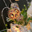 1.5m 10-LED Halloween String Light Painted Skull Warm White Party Decoration, 2A Continuous On - 6