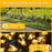 Solar Bee Firefly Light Outdoor Waterproof 8-LED Lamp Garden Decorative Light Yard Patio Pathway Decoration - 5