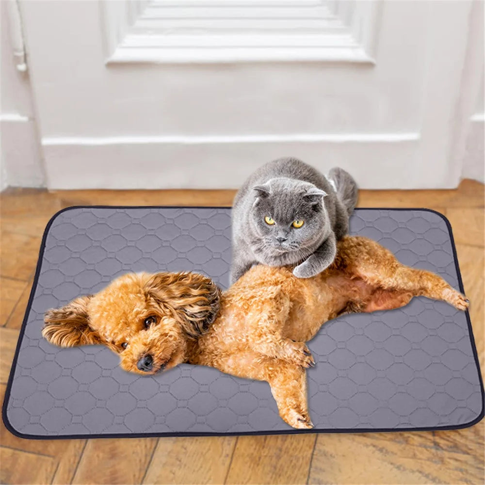 Indoor Pet Urine Pad Reusable Cat Dog Gift Urine Water Absorbent Mat, Size M - 1