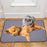 Indoor Pet Urine Pad Reusable Cat Dog Gift Urine Water Absorbent Mat, Size M - 1