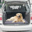 Indoor Pet Urine Pad Reusable Cat Dog Gift Urine Water Absorbent Mat, Size M - 2