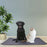 Indoor Pet Urine Pad Reusable Cat Dog Gift Urine Water Absorbent Mat, Size M - 4