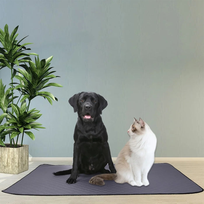 Indoor Pet Urine Pad Reusable Cat Dog Gift Urine Water Absorbent Mat, Size M - 4