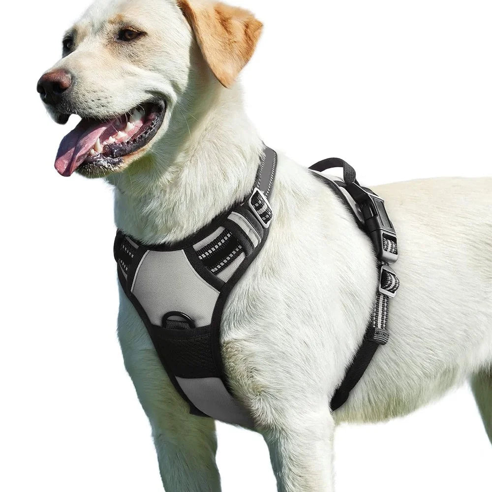 LDLC QS-111 M Size Pet Gift Harness Dog Cat Vest Oxford Fabric Chest Strap Reflective Breathable Adjustable - Orange - 4
