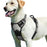 LDLC QS-111 L Size Pet Gift Harness Dog Cat Vest Oxford Fabric Chest Strap Reflective Breathable Adjustable - Grey - 4