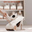 Adjustable Double Layer PP Shoe Rack Organizer Home Space Saving Shoe Holder - Good Bear - 3