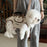 L Size Pet Carrier for 6.5-9Kg Dogs Shoulder Handbag Pet Traction Pack Portable Breathable Crossbody Bag Gift - 2