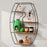 Oval Design Wall Mounted Metal Rack Storage Shelf Display Organizer for Living Room - Black - 1