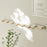 Creative Wall Mount Rack 8 Hooks No Drill Entryway Key Hanger Bedroom Door Storage Organizer - White - 1