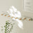 Creative Wall Mount Rack 8 Hooks No Drill Entryway Key Hanger Bedroom Door Storage Organizer - White - 2
