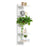 Wall Mounted Multi-Layer Shelf No Drilling 5 Tier Storage Rack Floating Display Organizer for Living Room Bedroom - White - 1