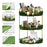 3-Tier Corner Desktop Organizer Makeup Storage Shelf Bedroom Bathroom Vanity Skincare Cosmetic Rack - Transparent Green - 2