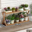 Multi-Tier Plant Stand 100cm Bamboo Flower Pot Shelf Indoor Outdoor Storage Rack for Living Room / Balcony / Office - Burlywood - 1