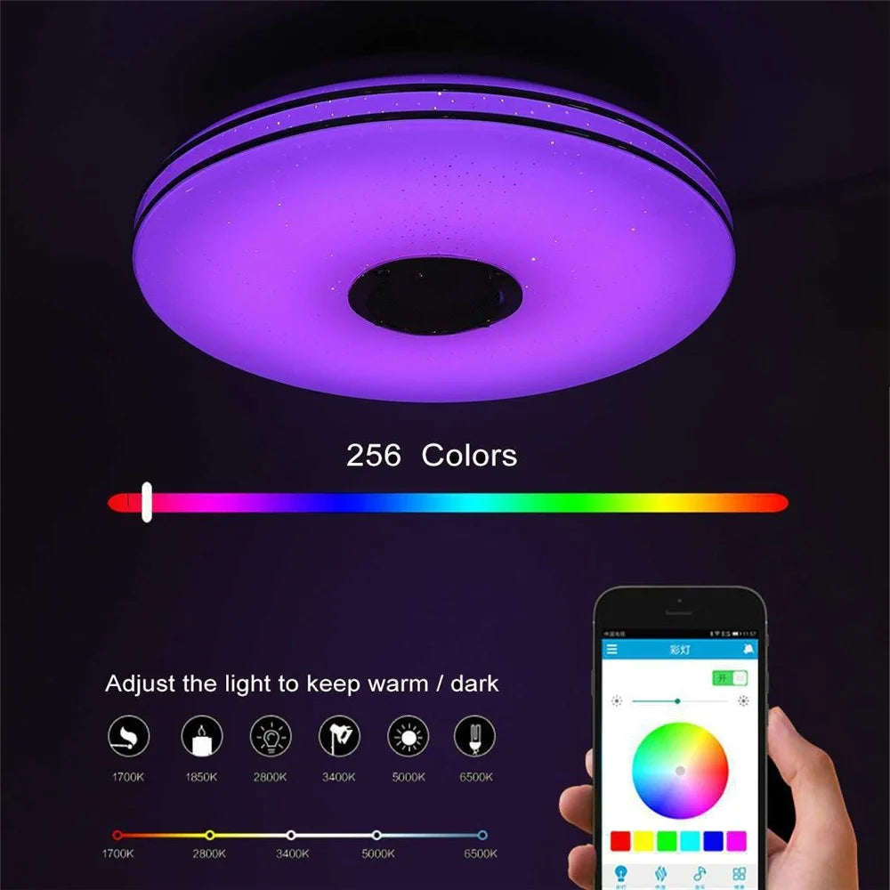 Smart Music Ceiling Light LED RGB Color Changing Lamp with Remote Control Speaker for Home Party - Double Silver Line - 3
