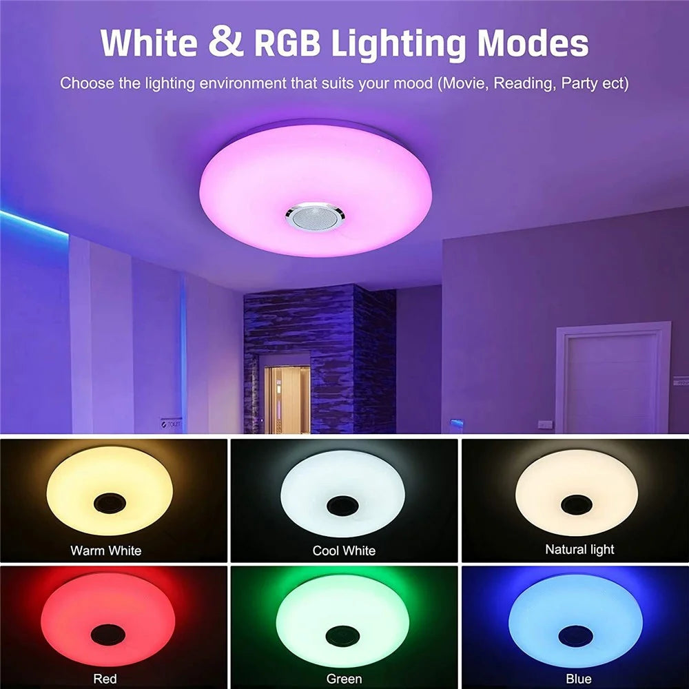 Smart Music Ceiling Light LED RGB Color Changing Lamp with Remote Control Speaker for Home Party - Double Silver Line - 4