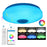 Round LED Music Ceiling Light  33CM 24W Bluetooth-Compatible Smart RGB Colorful Lamp Support Remote / APP Control - 2