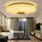 Round LED Music Ceiling Light  33CM 24W Bluetooth-Compatible Smart RGB Colorful Lamp Support Remote / APP Control - 4