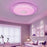 30cm Diameter APP Control Bluetooth-compatible Music Ceiling Light RGB+CCT Dimmable Smart Lamp with Remote - 4