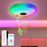 30cm Diameter APP Control Bluetooth-compatible Music Ceiling Light RGB+CCT Dimmable Smart Lamp with Remote - 5