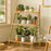 50cm Length Folding 3-Tier Wooden Plant Stand Flower Rack Indoor Balcony Storage Shelf Ladder Display - 4