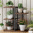 Desktop Storage Rack 4-Tier Metal Grid Stepped Shelf Organizer for Office Books Plants Kitchen - 5