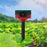 N911S Outdoor Solar Repeller Remote Infrared Human Sensor Recordable Animal Repeller Warning Light - Red - 5