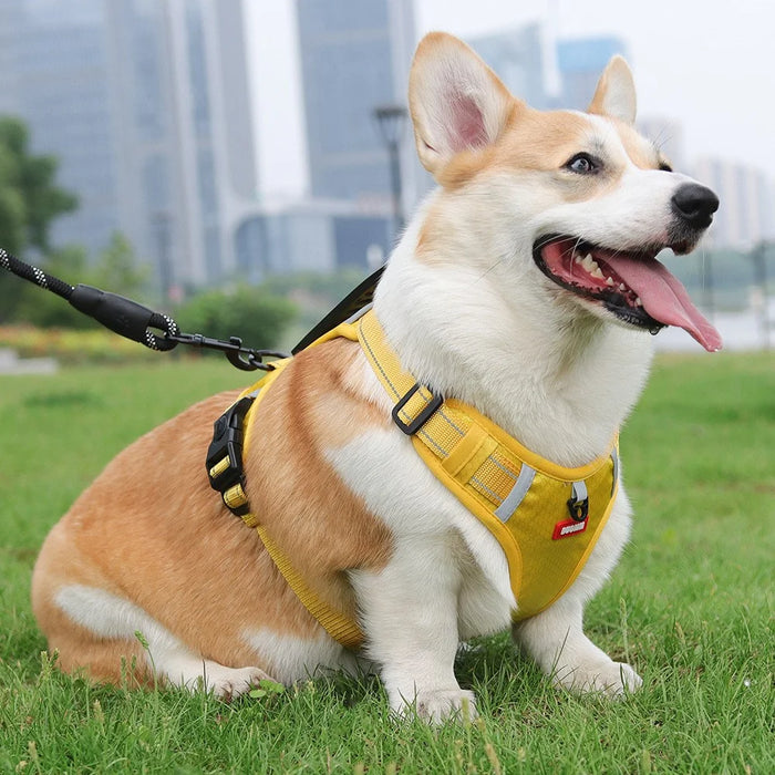 DUOMM HT-524 Breathable Pet Dog Harness Reflective Puppy Gift Safety Vest with Control Handle ST - Yellow / XS - 2