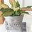 Cloth Art Planter Storage Bag Plant Pot Cover Pouch Decorative Covering Bin Sunflower Daisy Grow Bag - Grey - 2