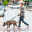 5M Retractable Dog Leash with LED Light Reflective Pet Walking Lead for Medium / Small Dogs, Up to 30Kg - 2